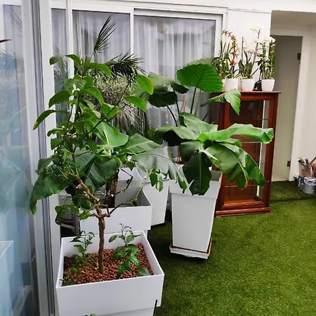 O 3 Parasols 4* Sète